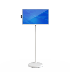 21.5" Portable TV