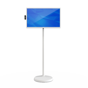 32" Portable TV